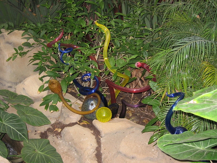 IMG_5718 Dale Chihuly art at Pittsburgh Phipps Conservatory.jpg
